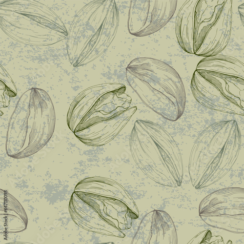 Pistachios drawn sketch. Seamless pattern. Vintage style. Botanical drawing. Nut collection.