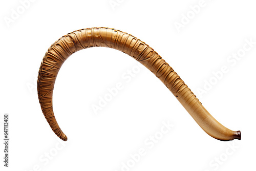 Traditional Jewish Shofar Horn