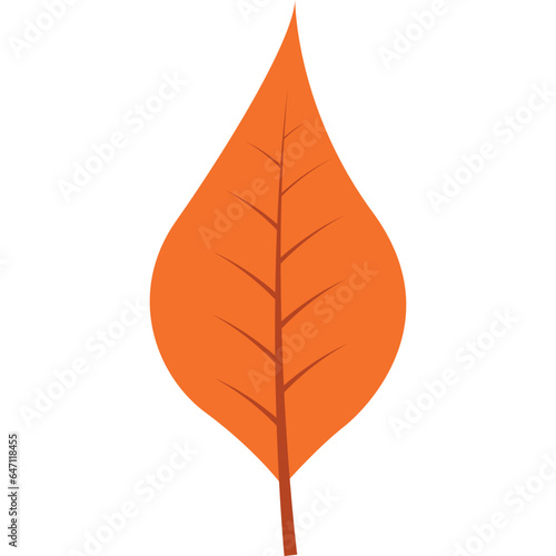 autum leaves