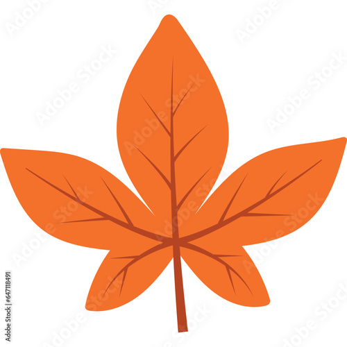 autum leaves