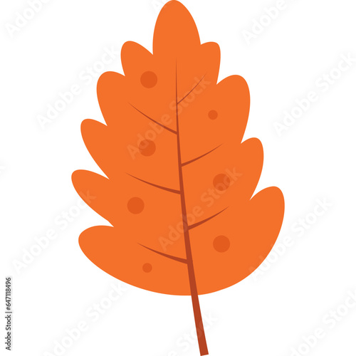 autum leaves