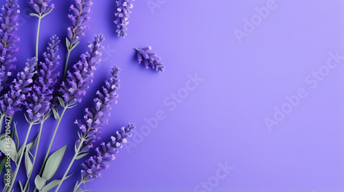 Blue lavender flowers and blanks message card on purple background