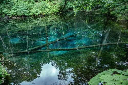 Fototapeta Naklejka Na Ścianę i Meble -  コバルトブルーに輝く神秘の泉　神の子池