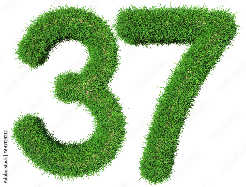 grass number 37 - 3d green number grass number 37 - 3d green number