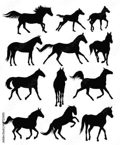 The set of horses silhouettes. 
