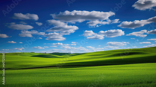 Open field of green grass, blue sky, white clouds