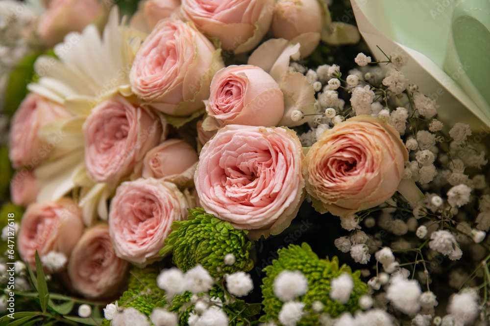 bouquet of green Chrysanthemum, white gypsophila, pink rose. background of flowers bouquet of green Chrysanthemum, white gypsophila, pink rose. background of flowers