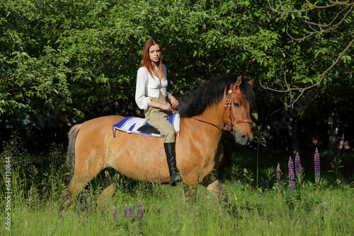 Country girl ride bareback an unsaddled horse in summer forest © horsemen