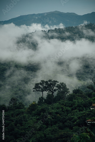 clouds in the mountains