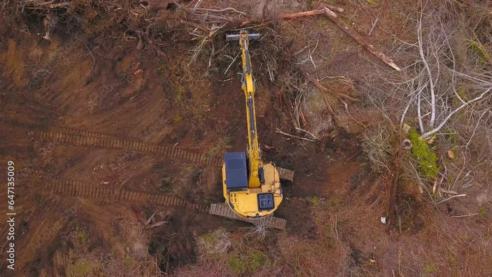 Digger in Action: Clearing Slash in a Logged Forest Digger in Action: Clearing Slash in a Logged Forest