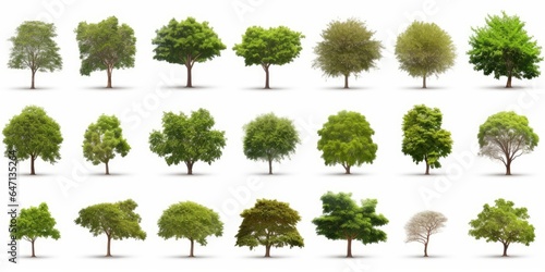 tree collectoin isolate on white background, Generative AI photo