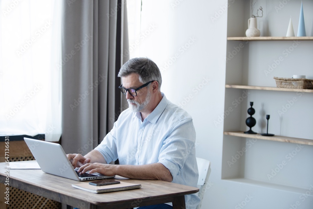 Mature businessman working from home using laptop
