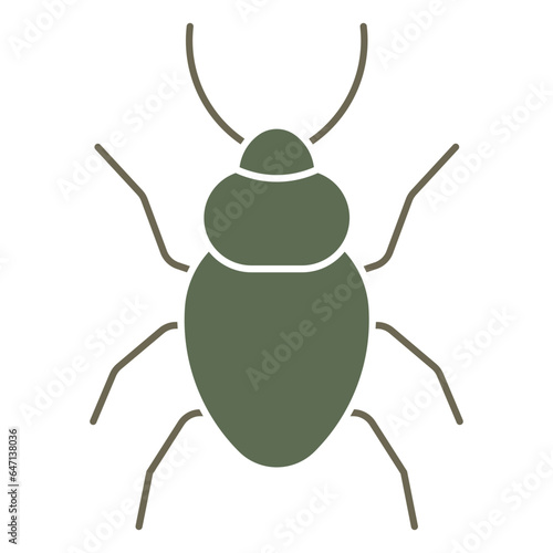 beetle