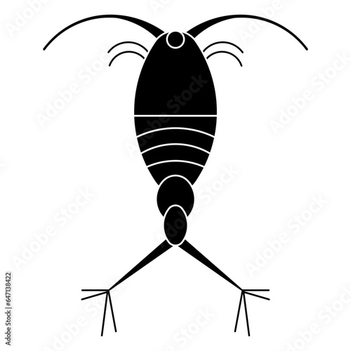 Copepod