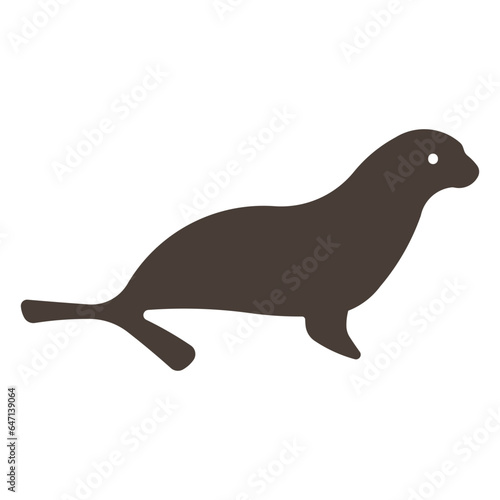 California sea lion