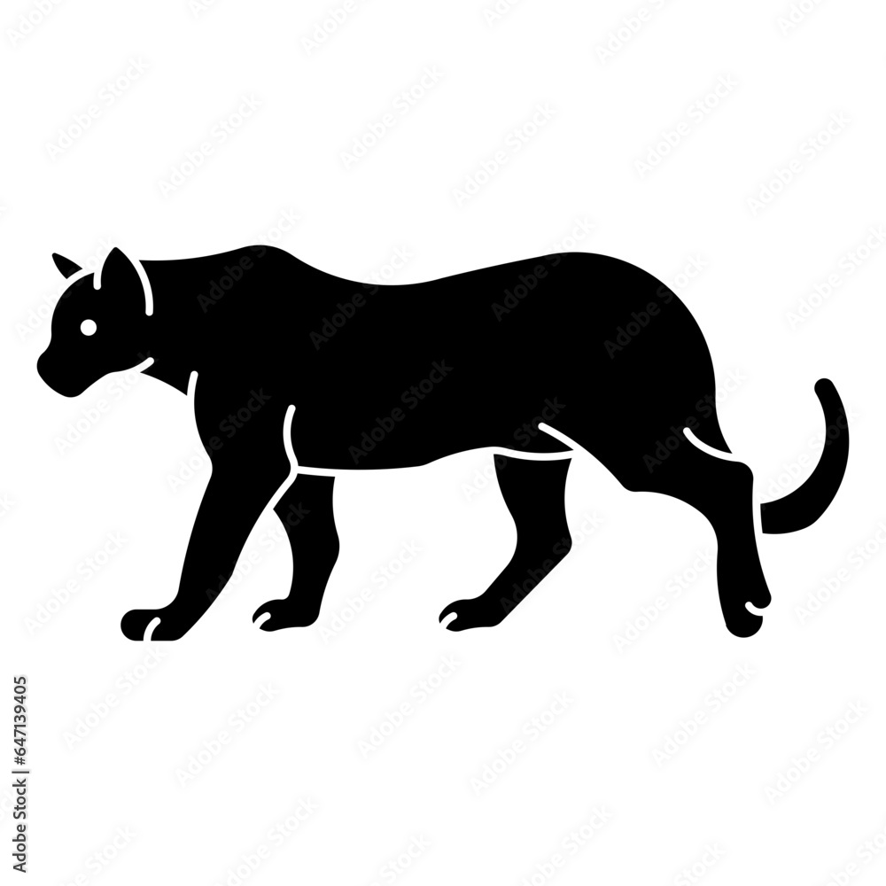 Obraz premium Cougar