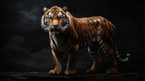 A fierce tiger illuminated by a single beam of light against a midnight sky.