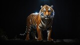 A fierce tiger illuminated by a single beam of light against a midnight sky.