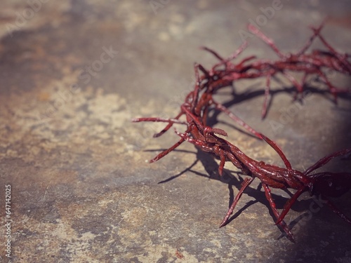 Good Friday, Lent Season and Holy Week concept. Half close up of a hand made woven crown of thorns. photo