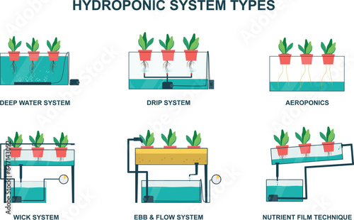 Foto Hydroponic System Types