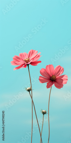 Two pink simple flowers on turquoise sky minimalistic background