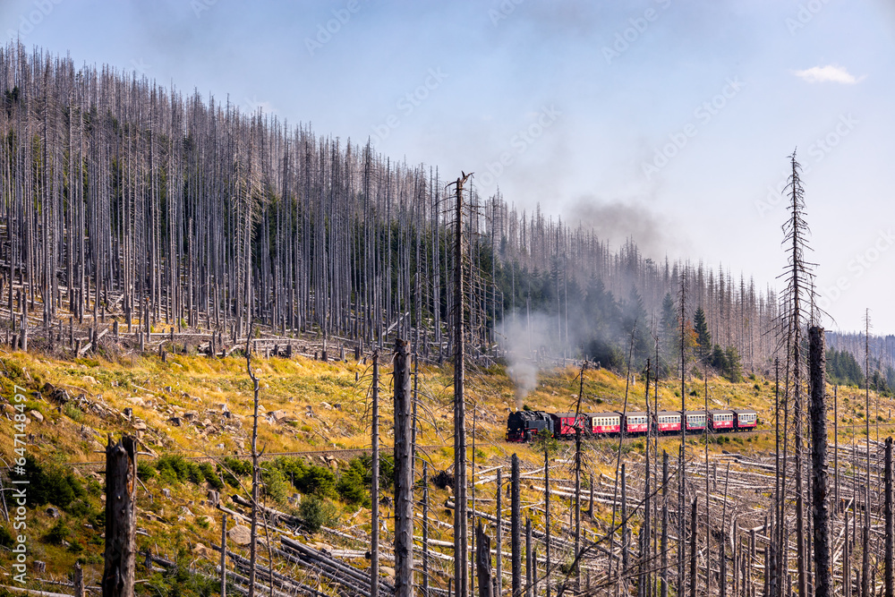 Obraz premium Spätsommerwanderung durch den Nationalpark Harz rund um Schierke - Sachsen-Anhalt - Deutschland