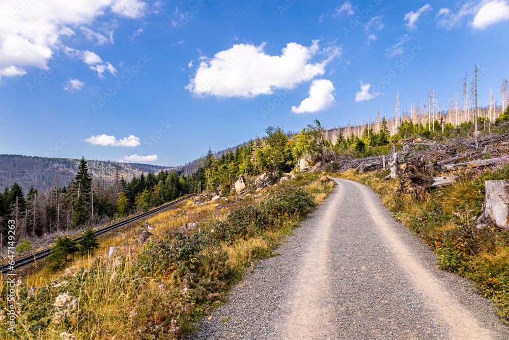 Fototapeta premium Spätsommerwanderung durch den Nationalpark Harz rund um Schierke - Sachsen-Anhalt - Deutschland