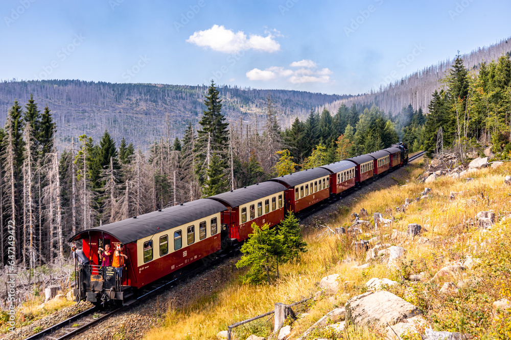 Spätsommerwanderung durch den Nationalpark Harz rund um Schierke - Sachsen-Anhalt - Deutschland
