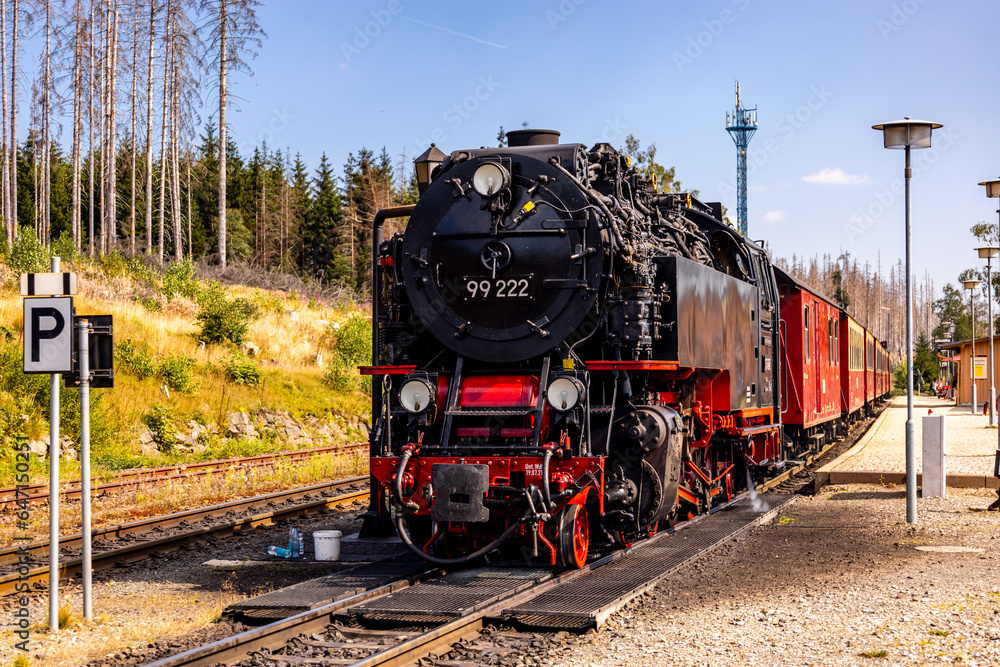 Fototapeta premium Spätsommerwanderung durch den Nationalpark Harz rund um Schierke - Sachsen-Anhalt - Deutschland