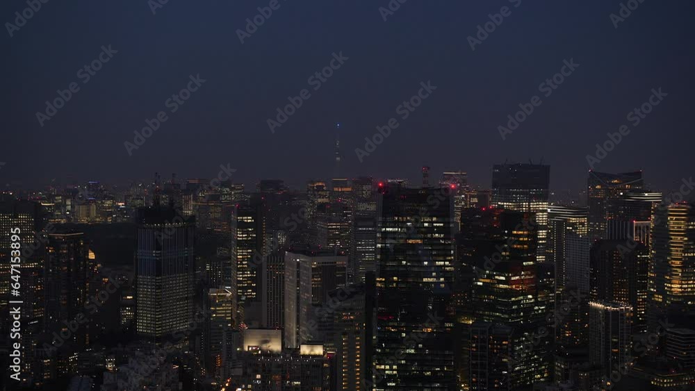 Aerial view of skyline of Tokyo at night with skyscrapers and towers. Japan. Aerial view of skyline of Tokyo at night with skyscrapers and towers. Japan.