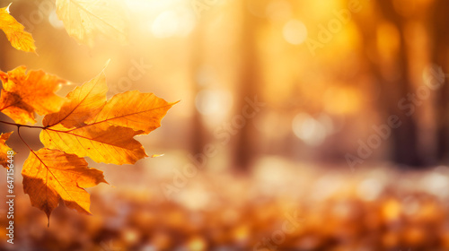 Sunlit Park with Vibrant Orange and Golden Leaves with Blurred Background