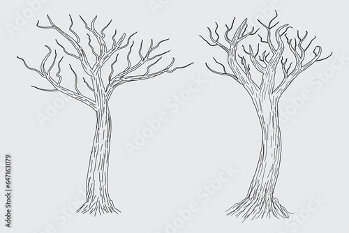 Hand drawn winter Bare Tree Sketch vector, bare Trees Leafless dead old dry No leaves pencil sketch illustration, Winter Naked Branch without leave Dead tree drawing Coloring Page nature forest icon

