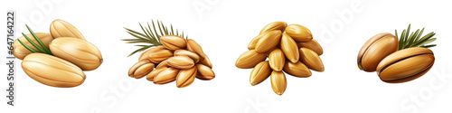 Pine Nuts clipart collection, vector, icons isolated on transparent background