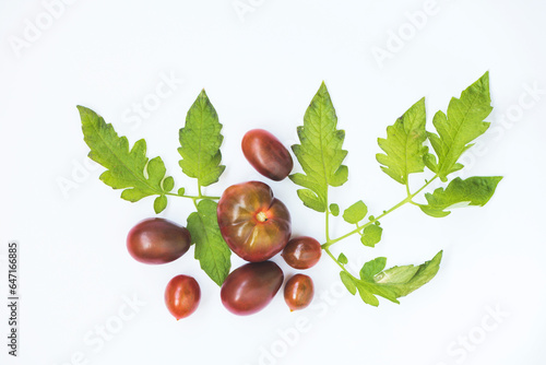 Ripe fruits of brown tomatoes of different shapes with leaves on a white background. Grocery background top view