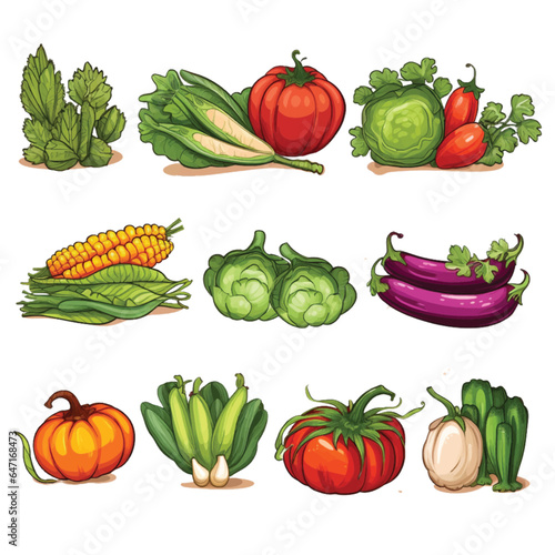Set of Vegetable