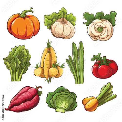 Set of Vegetable