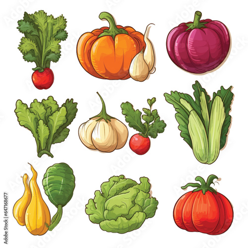 Set of Vegetable