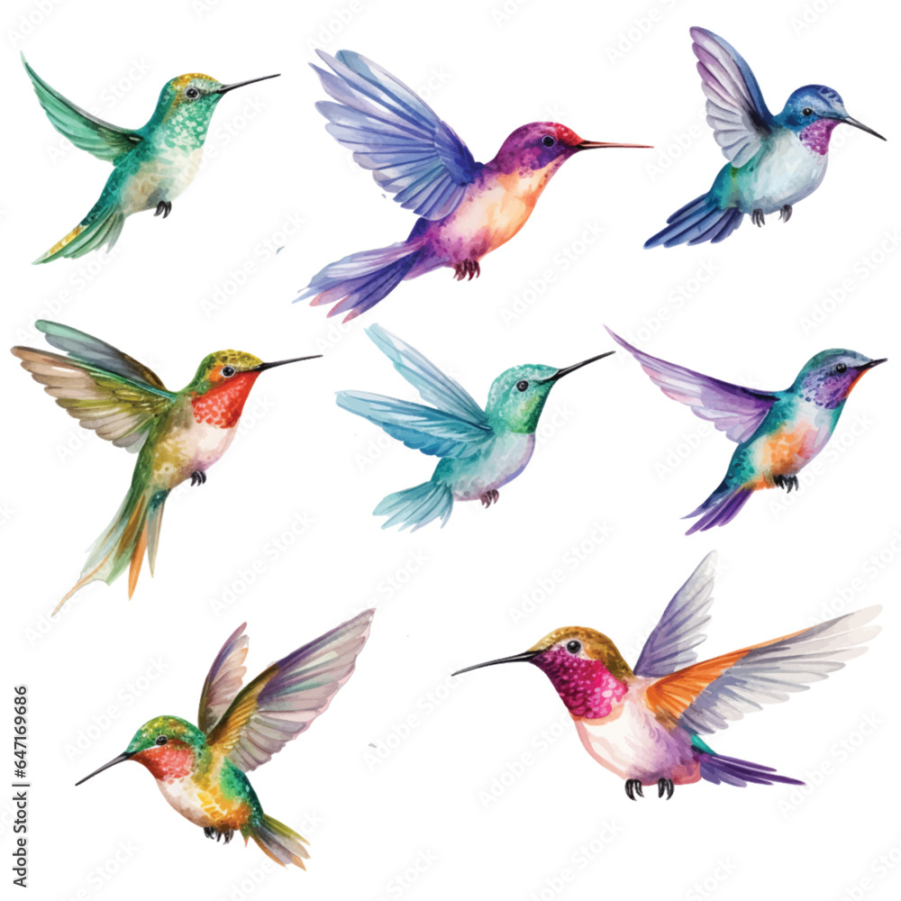 Fototapeta premium Set of Hummingbird