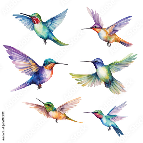 Set of Hummingbird