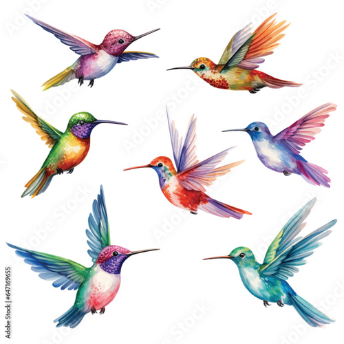 Set of Hummingbird
