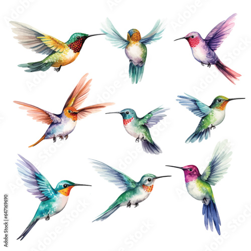 Set of Hummingbird