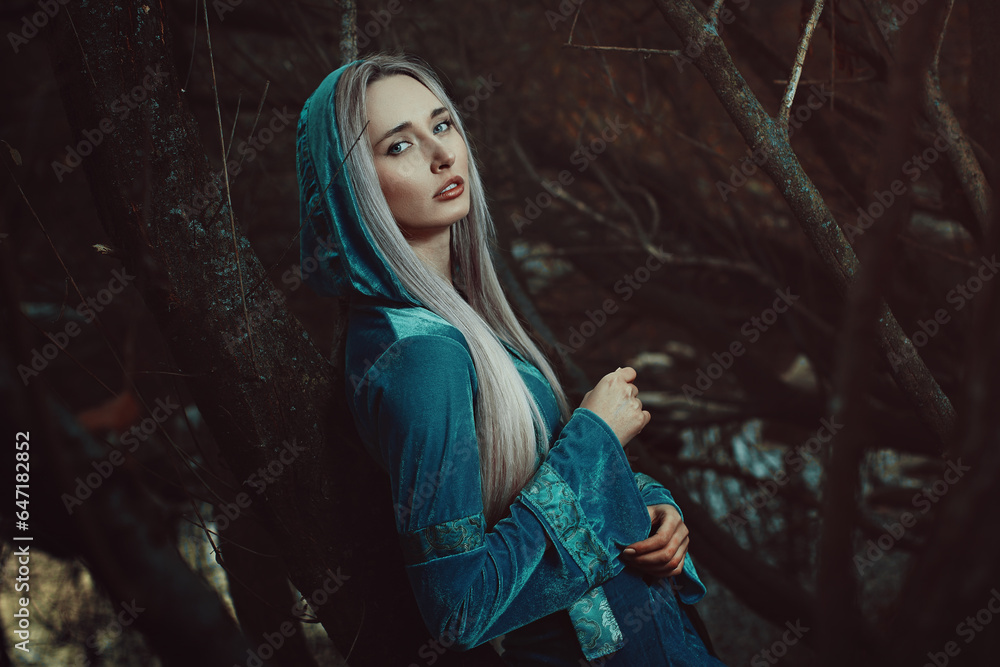Fototapeta premium Fairy elfin princess in dead forest. Fantasy conceptual