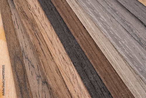 Palette of wood decor samples with different colours and textures. Sample of wood chipboard. Wooden laminate veneer material for interior architecture and construction or furniture finishing 