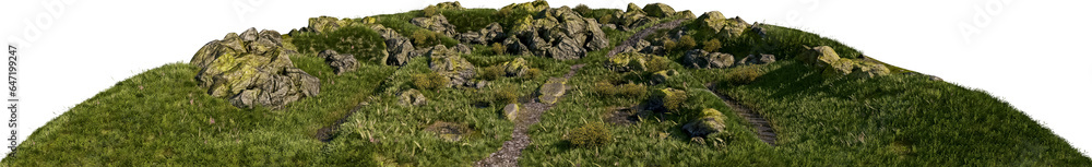 grass rocks and path small hill 20 mm lens lit from the side