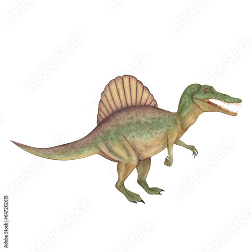 Spinosaurus. Dinosaur. Watercolor illustration isolated on a white background. Hand drawn