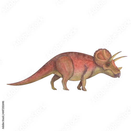 Triceratops. Dinosaur. Watercolor illustration isolated on a white background. Hand drawn © Shmelesti
