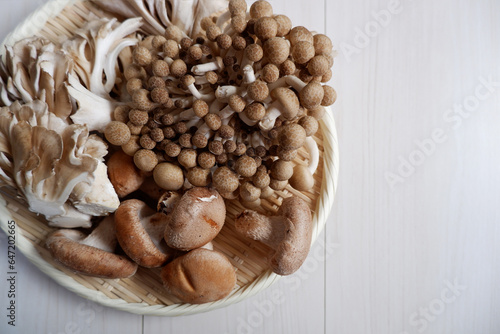 Autumn harvest concept. Various mushrooms in a basket. Various types of mushrooms. Autumnal natural food.
