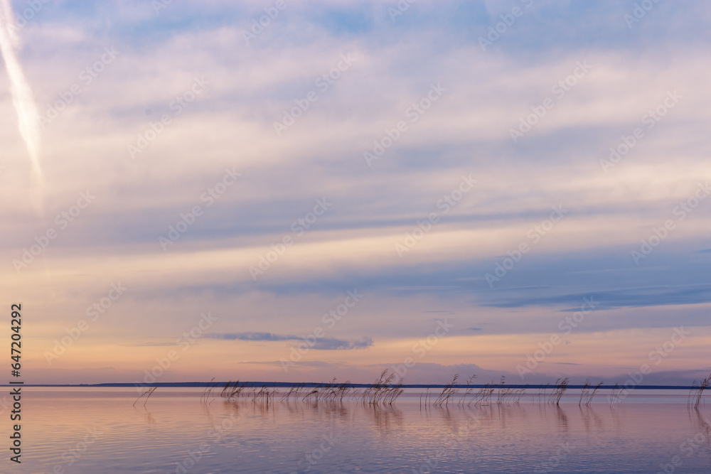 Colorful sky and water surface on lake at sunset or sunrise, blue yellow pastel clouds. Nature abstract fon with reeds and clouds reflections on water, beauty in nature, aesthetic summer scenery Colorful sky and water surface on lake at sunset or sunrise, blue yellow pastel clouds. Nature abstract fon with reeds and clouds reflections on water, beauty in nature, aesthetic summer scenery
