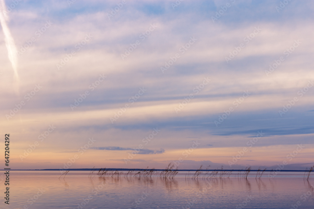 Colorful sky and water surface on lake at sunset or sunrise, blue yellow pastel clouds. Nature abstract fon with reeds and clouds reflections on water, beauty in nature, aesthetic summer scenery