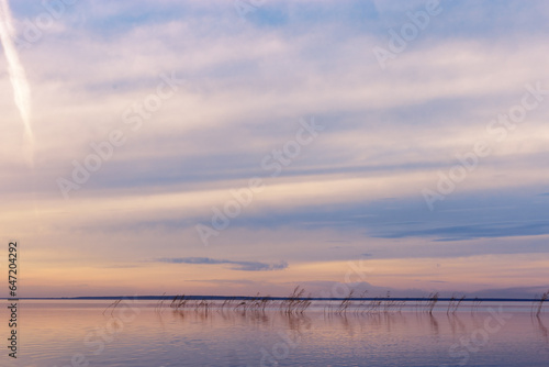 Colorful sky and water surface on lake at sunset or sunrise  blue yellow pastel clouds. Nature abstract fon with reeds and clouds reflections on water  beauty in nature  aesthetic summer scenery